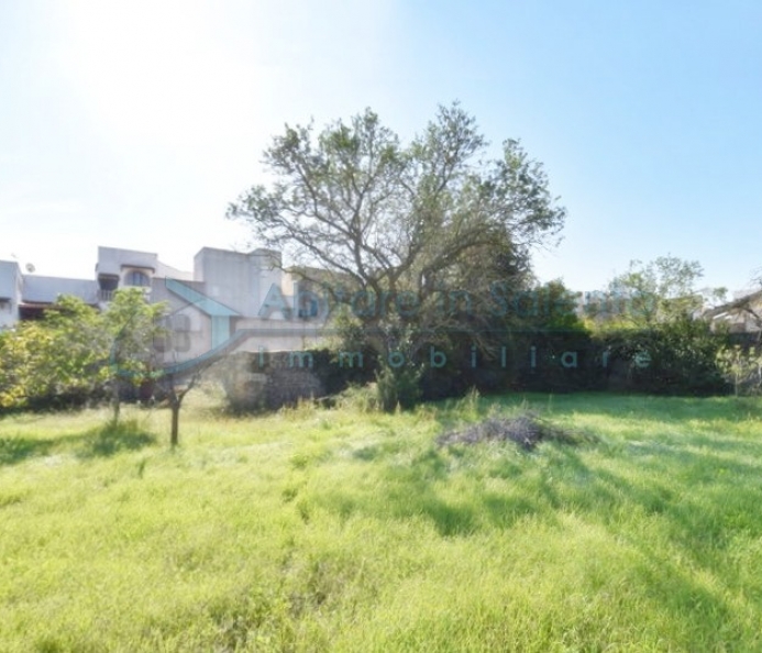 Agricultural Plot of Land